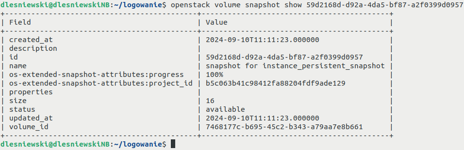 ../_images/how-to-create-instance-snapshot-cli-19_creodias.png